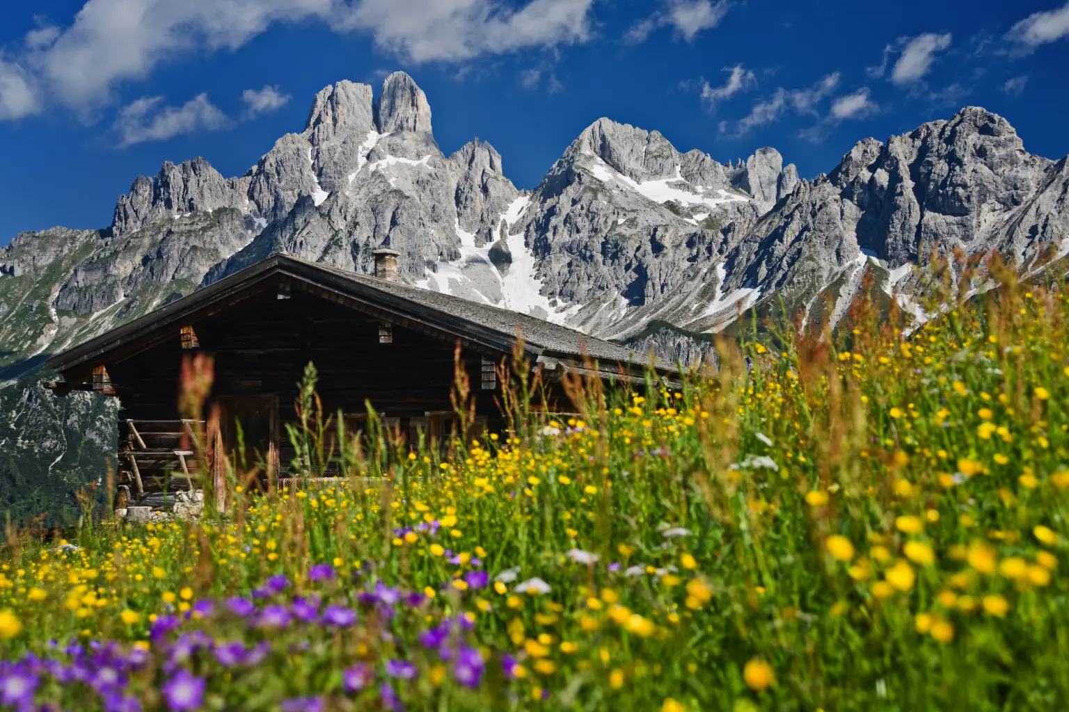 Holzhütte auf blühender Almwiese vor schneebedeckten Bergen und blauem Himmel.